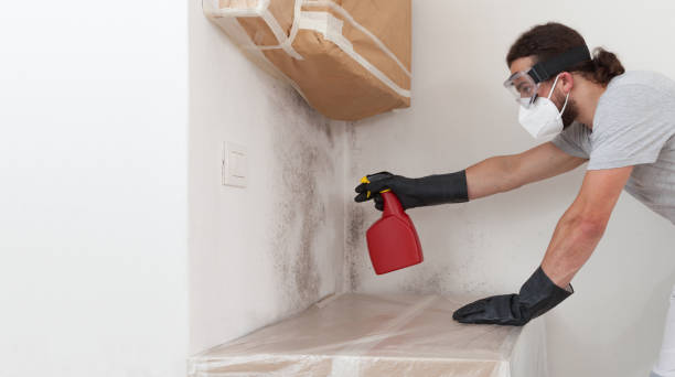 Professional Attic Mold Removal technician working in Gladstone, NJ