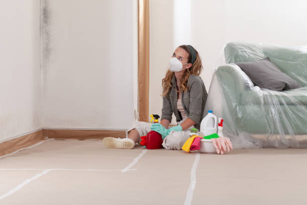Reliable Attic Mold Removal contractor in Gladstone, NJ by WQB Mold Removal